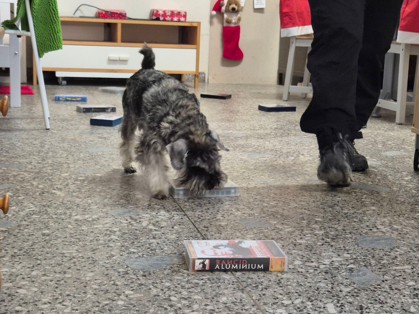 Poppy i behållarsök med VHS-kassetter