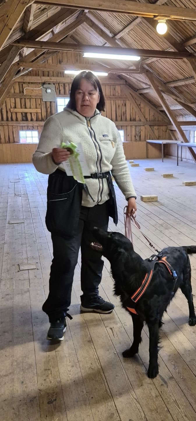 Vera på sitt första doftprov i eukalyptus